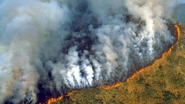 अमेजन के जंगल की आग है दुनिया के लिए खतरे की घंटी