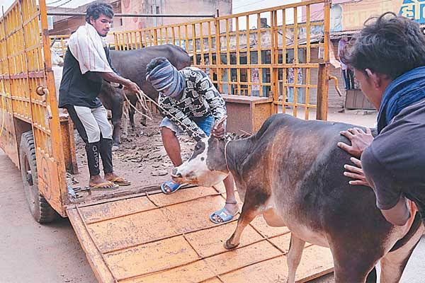 प्रतीकात्मक तस्वीर ।